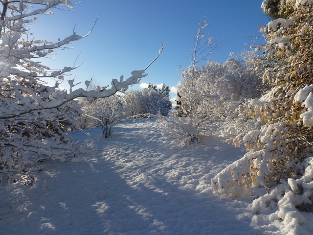 Winter arrives in Wanaka
